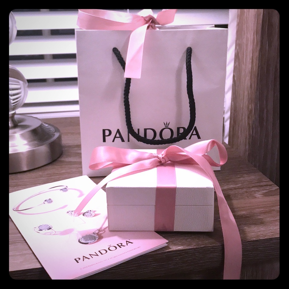 Pandora Reflexions bracelet and two charms.